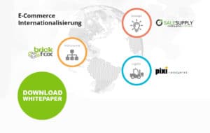 Internationalisierung im E-commerce Whitepaper
